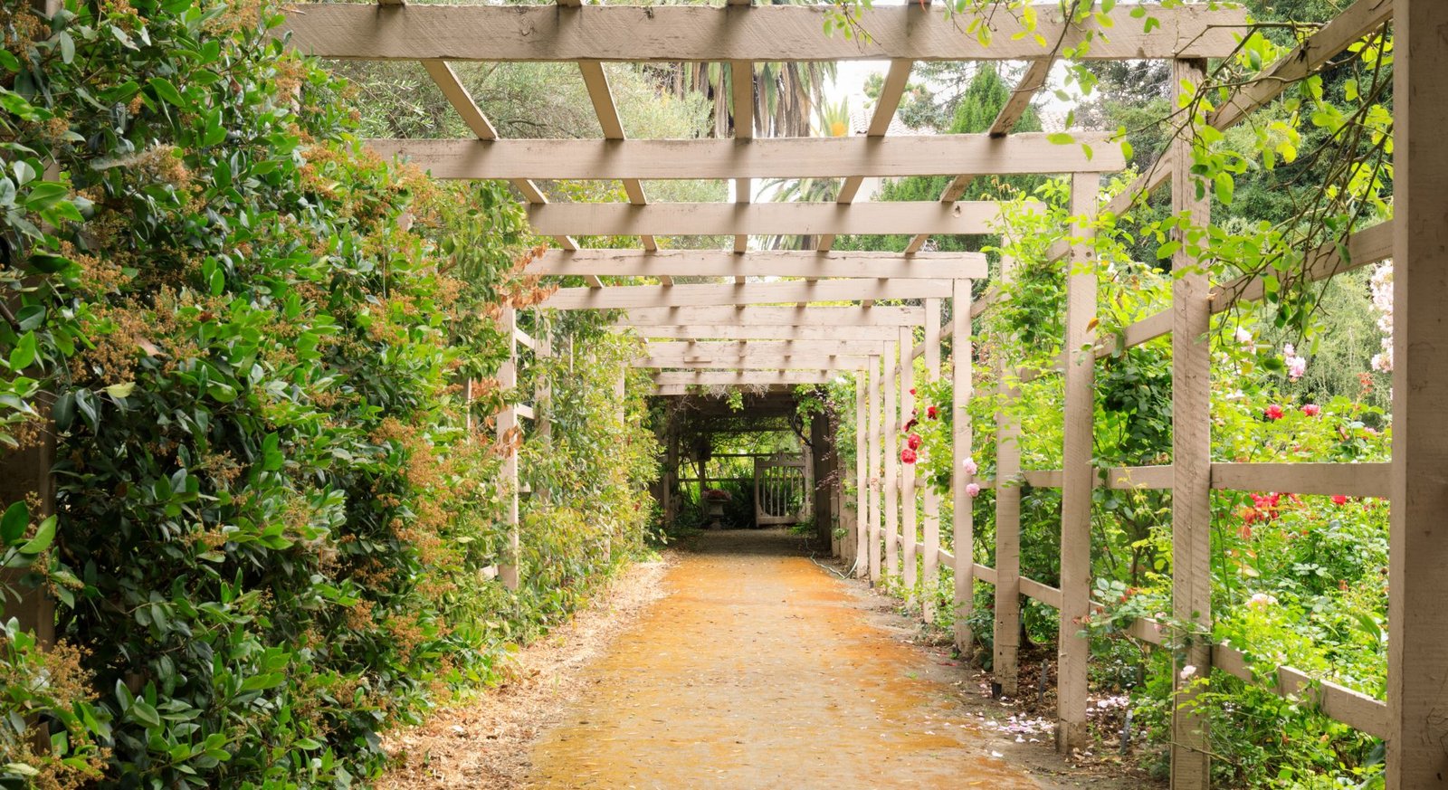 Covered Walkway Under Pergola